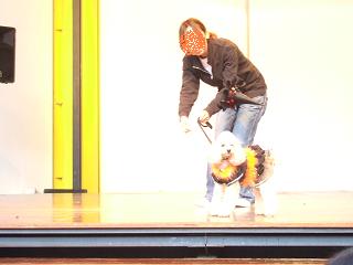 �ȥ��ס������