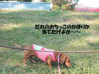 �Υ�ǭ����Υ�����ˤϵ���Ĥ��Ƥ�������