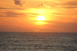 79b64439.JPG