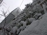 4b81b6a4.JPG