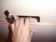 RIMG0656.JPG
