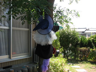 witch-2