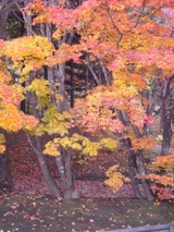 09.10.19札幌芸術の森