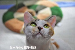 7d60497e.jpg