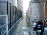 路地並木2