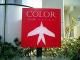 �崱��COLOR1