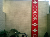 �崱��COLOR2
