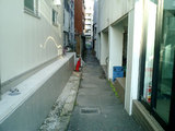 路地並木1