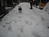 yuki3