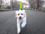 �ڤä��裱