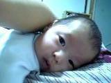 9682525d.jpg