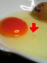 tamago8