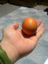 tamago1