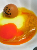 tamago17