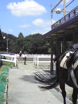 204ee959.jpg