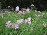 P6260024