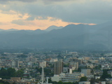 �������鸫�������