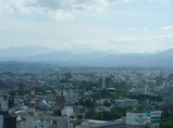 �������鸫�����Ϣ��