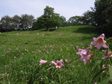 P6260028