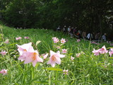 P6260026