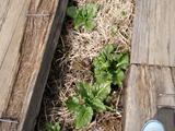 080606�繾