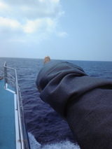 1188c79e.jpg
