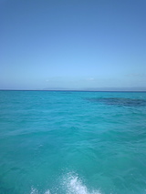 b0811711.jpg