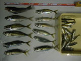 05ea211d.jpg