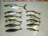 28dbe854.jpg