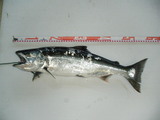 69e3c95d.jpg