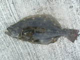 9c9505f5.jpg