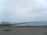9e11348a.jpg