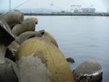 d278cca4.jpg