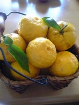 �椺�������åȥ����꡼