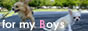 for my Boys