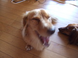 8838c2b6.JPG