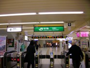 IMGP0482