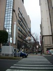 IMGP0527