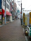 IMGP0524