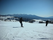 ���� 003