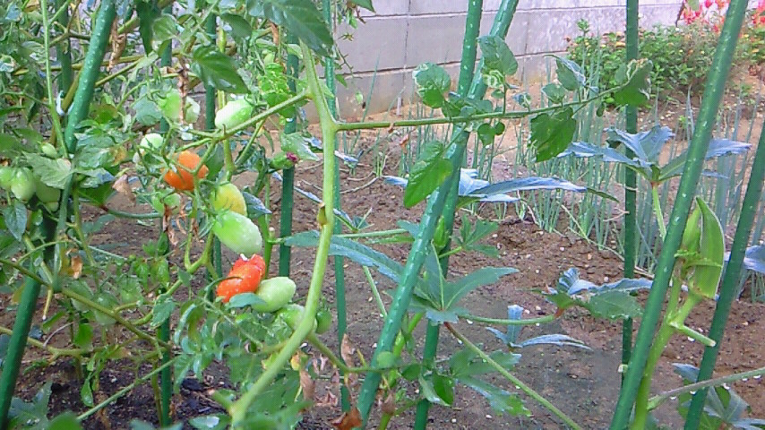200909060752000