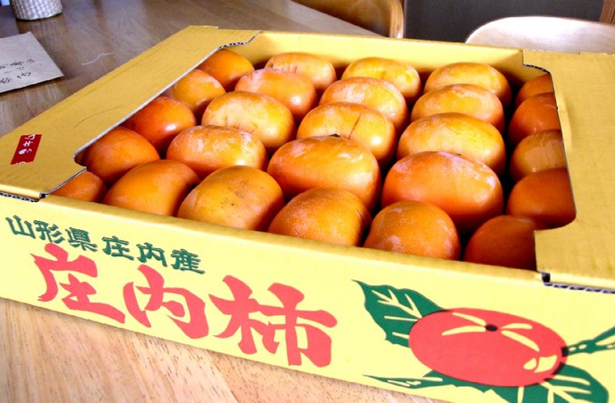 柿
