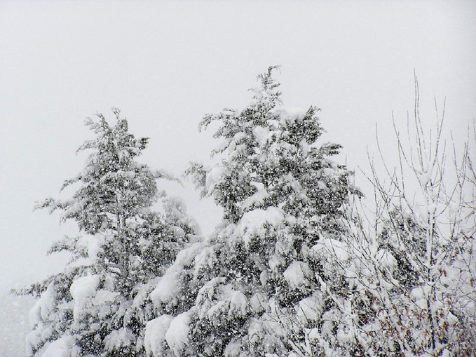 雪景色