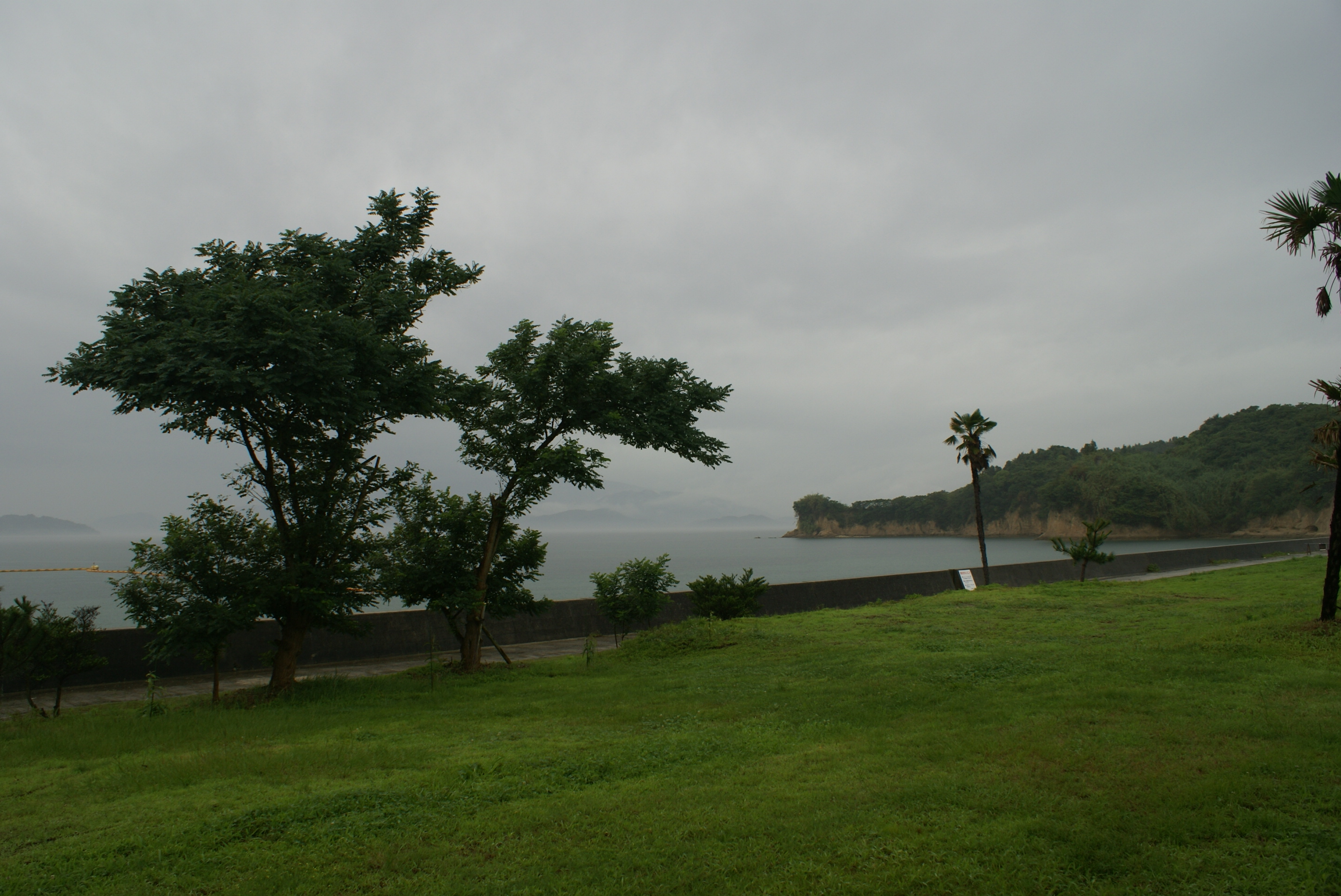 DSC00952