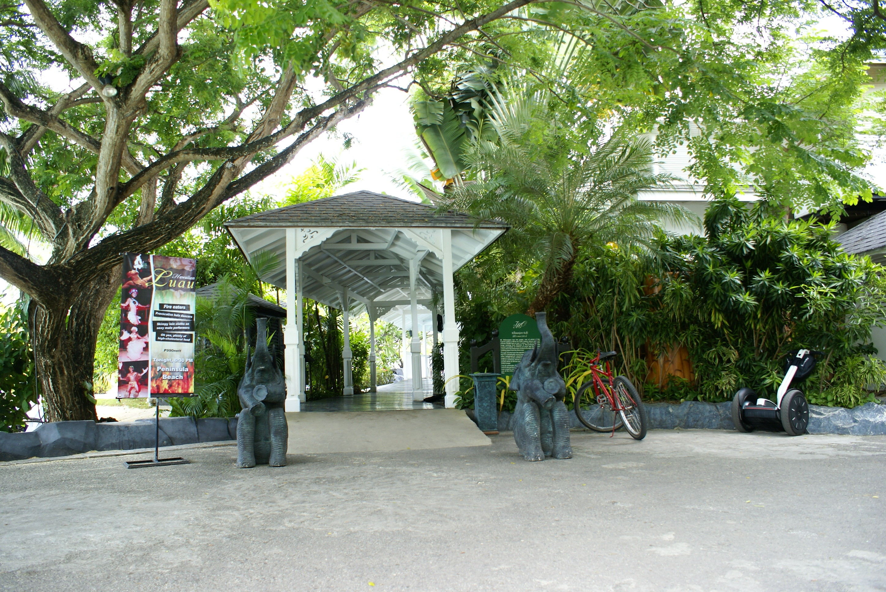 DSC01011