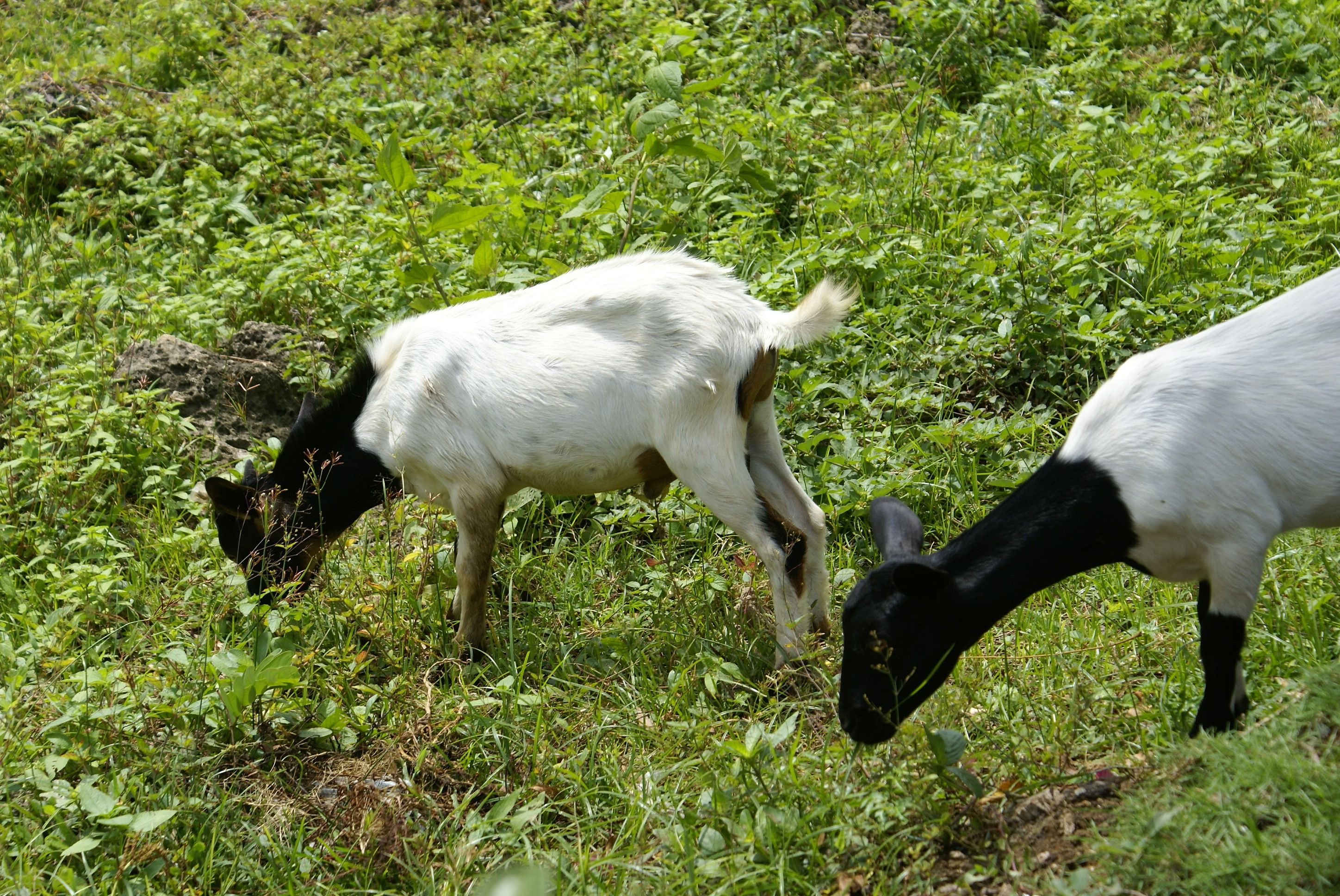 DSC01301