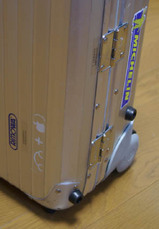 RimoAppleBeetle