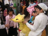 221e6110.jpg