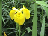 97f22078.JPG