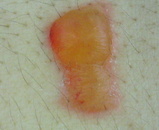 d7a2447a.jpg